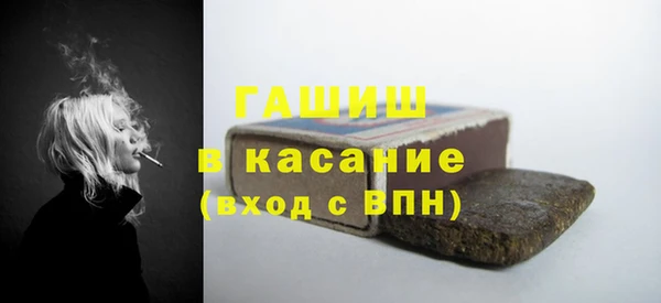 шишки Надым