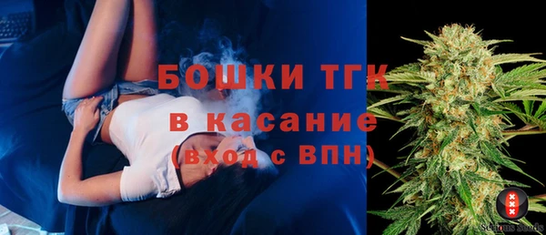 дурь Гусиноозёрск