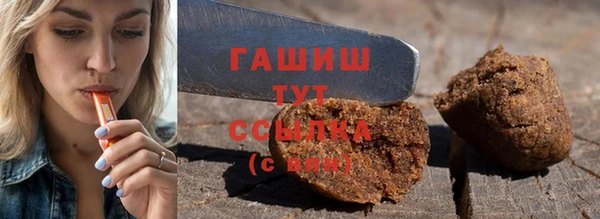 индика Михайлов