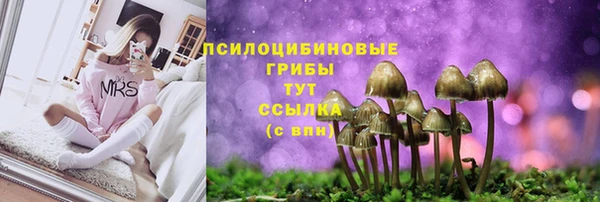 дурь Гусиноозёрск