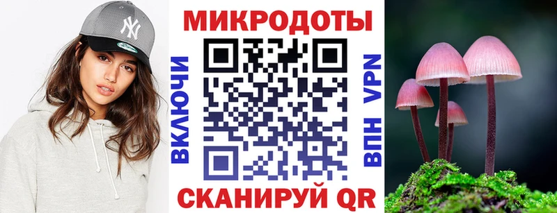 дарнет шоп Облучье Галлюциногенные грибы Psilocybe